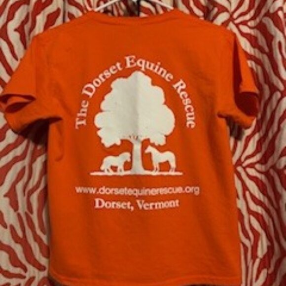 Dorset Equine Rescue T-shirt, Colorful orange, 100% Ultra Cotton, Size Medium - Picture 4 of 6